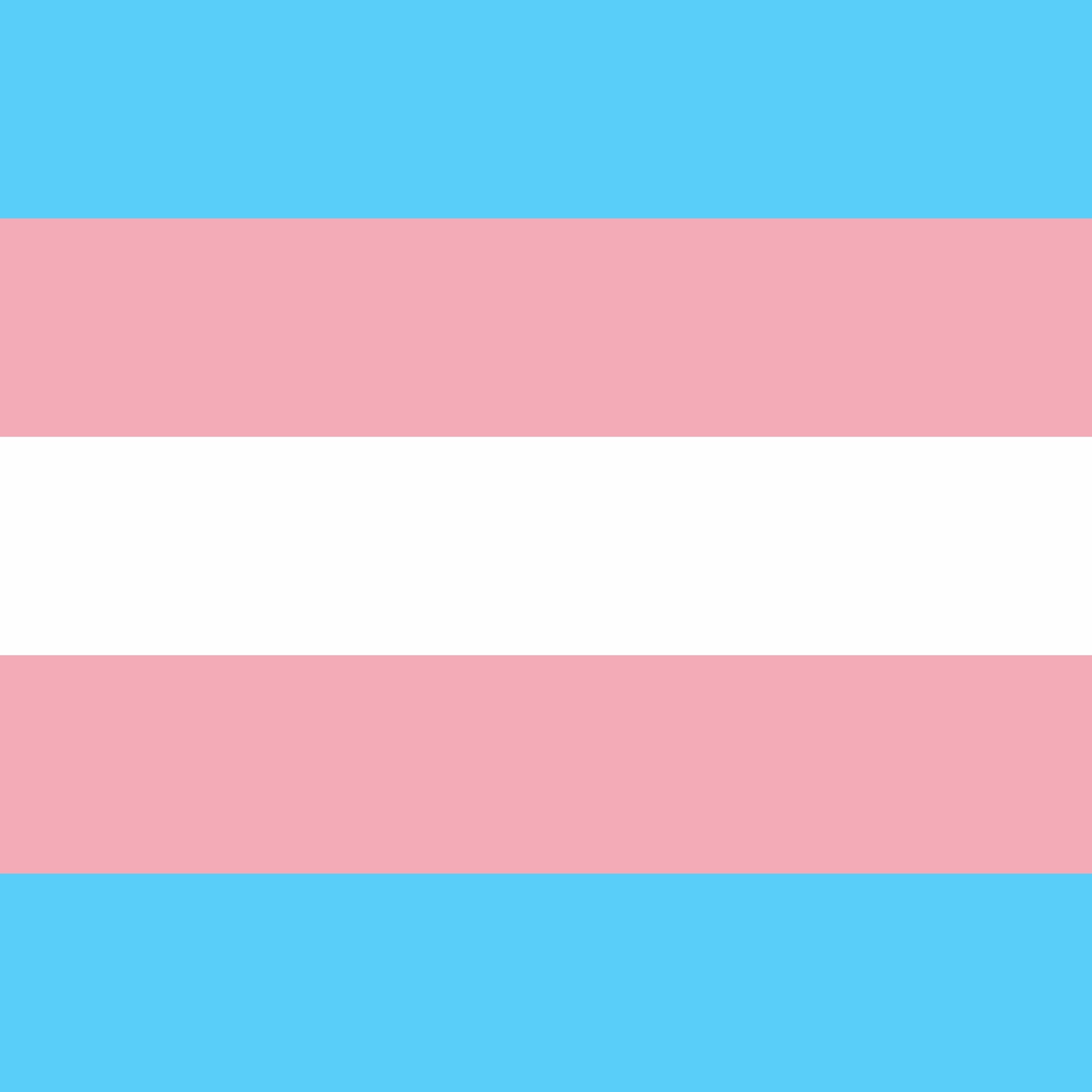 Episode 12: Our Trans Siblings
