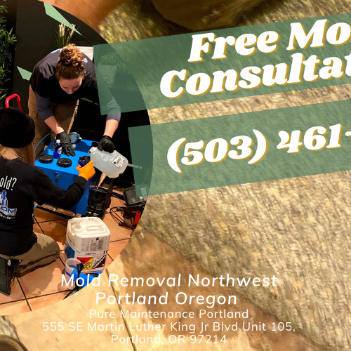 Mold Removal Northwest Portland Oregon - Pure Maintenance Portland - 503-461-1006