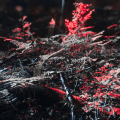 Intimate Cosmologie (27.11.2025)