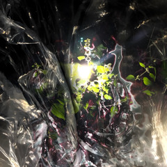 Premiere: W.ANNA.W & xato - Forsaken Voices | Over My Body