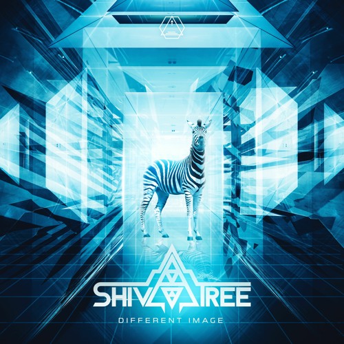 Shivatree - Different Image