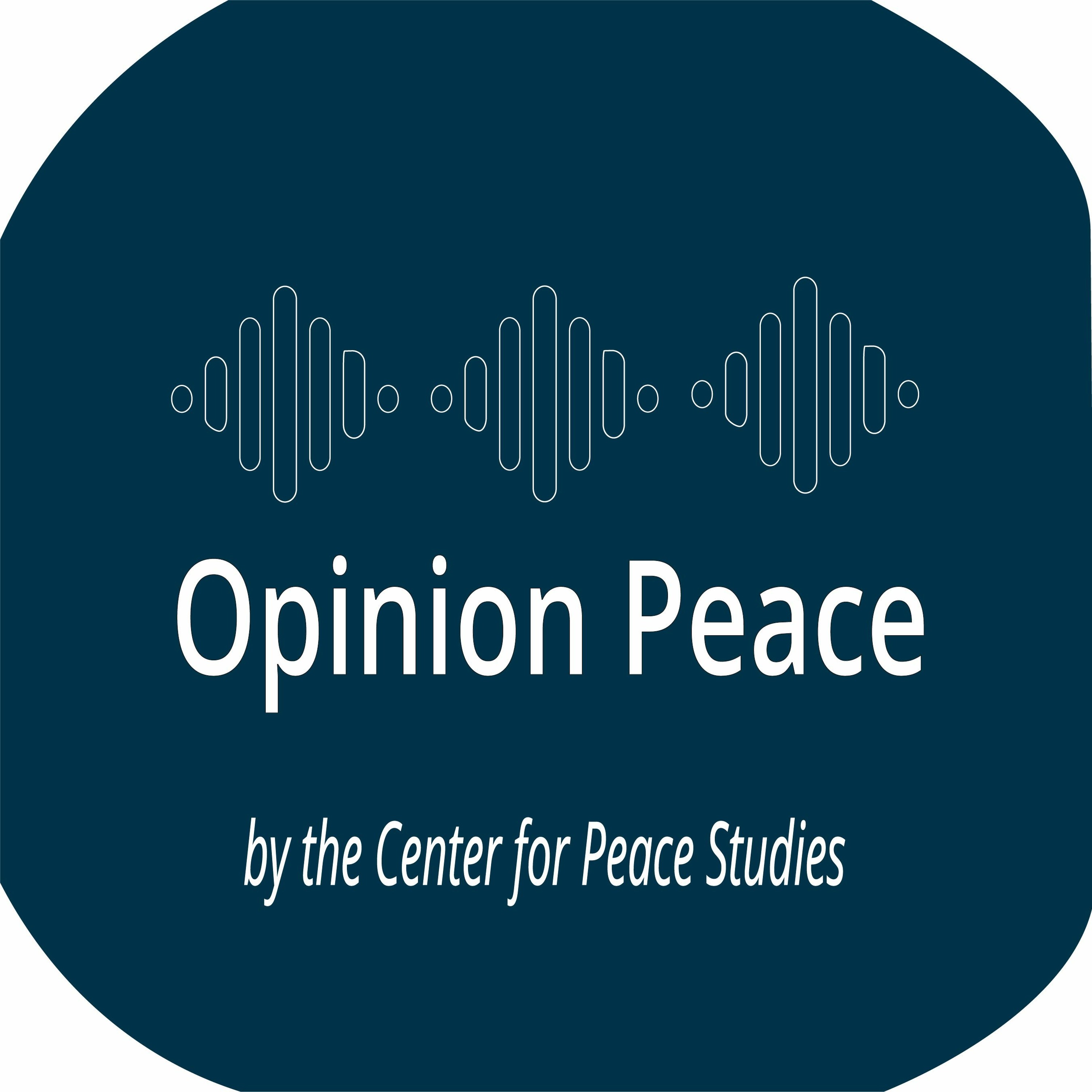 Socioeconomic Justice: International Intervention & Transition in Post-war Bosnia and Herzegovina