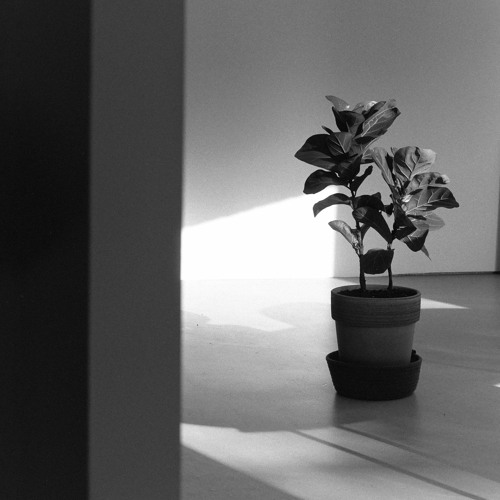 light and shade