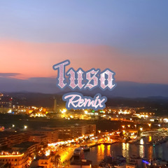 Karol G, Nicki Minaj - Tusa (Fenix x Afonsodevic Remix)