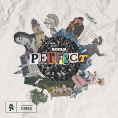 Rogue - Perfect