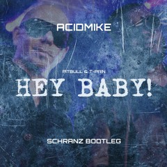 HEY BABY! (PITBULL & T-PAIN) [SCHRANZ BOOTLEG] - Free Download