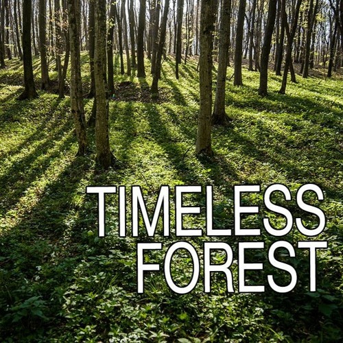 Timeless forest