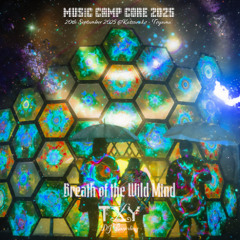 TXY DJ Mix - Breath of the Wild Mind  -