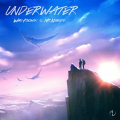 Who Knows?, Mr. Nobody - Underwater (Original Mix) * FREE DOWNLOAD