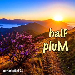 halF pluM [naviarhaiku602]