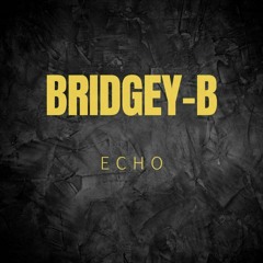 BRIDGEY-B - ECHO (M) .wav