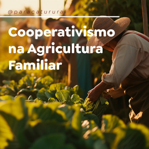 Debate aborda papel do cooperativismo da agricultura familiar na COP 30