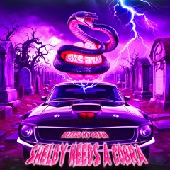 SHELBY NEEDS A COBRA