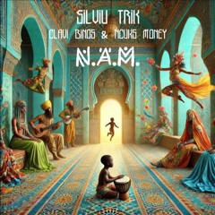 Clavi Binos, Ncuks Money, Silviu TriK - N.A.M  (Gabriel Slick Remix)
