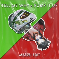 Tell Me Why x Pump It Up (MESDEI Edit) [FREE DOWNLOAD]