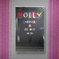 molly wave house (g-space x finneh)
