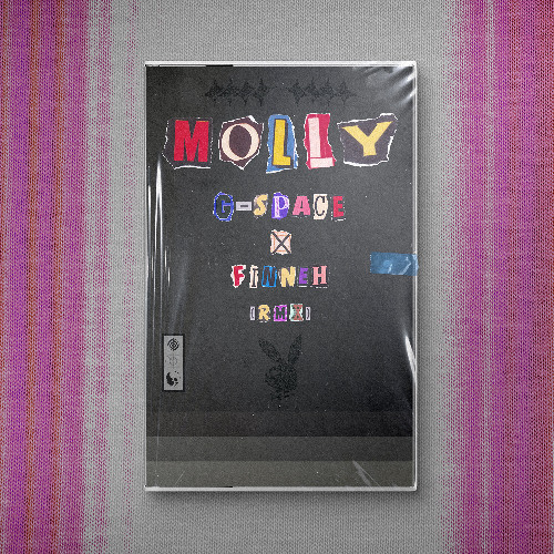 molly wave house (g-space x finneh)