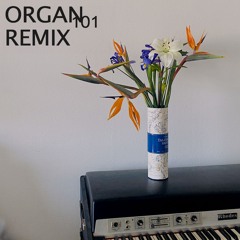 5 Remix Organ101