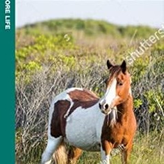 [READ DOWNLOAD] Assateague/Chincoteague Seashore Life: A Waterproof Folding Guide to Familiar