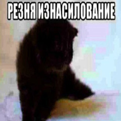 Тишина в условиях перманентного шума