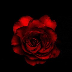 All my love (ft remnntss)