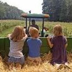 Hayrides From Way Long Ago
