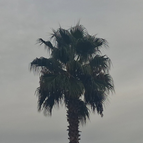 Full Of People But Alone - a pink floyd inspired jam