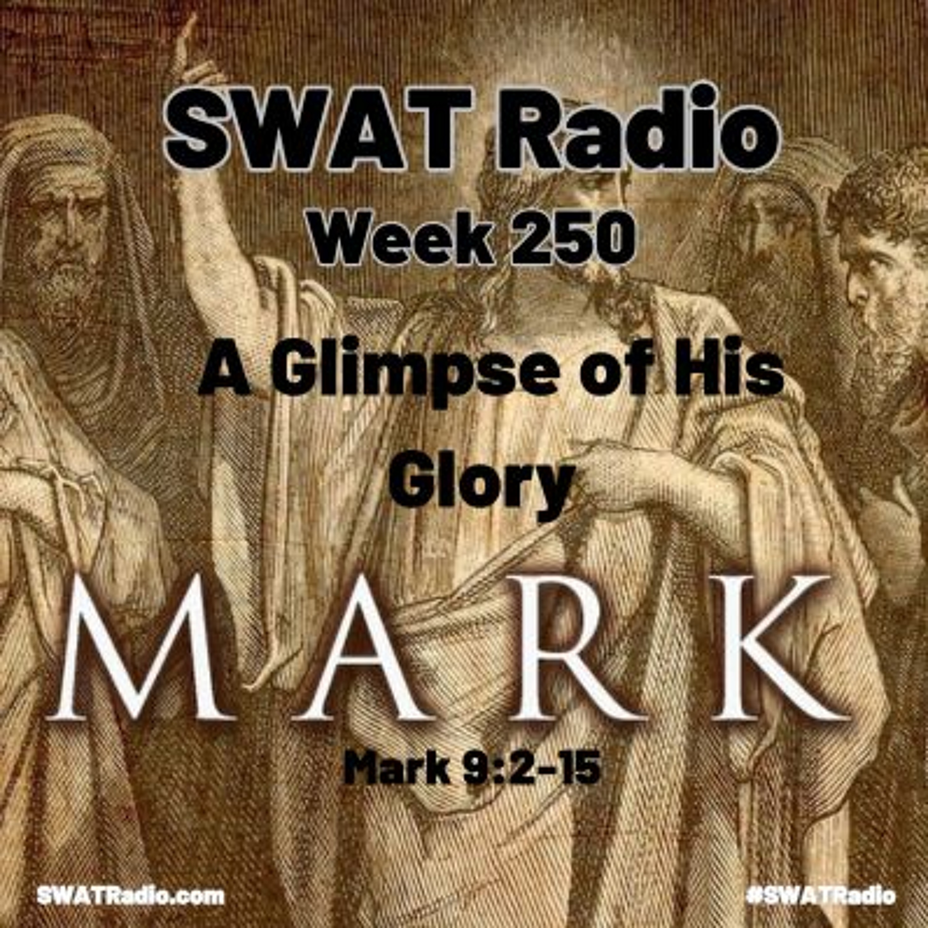 SWAT Radio