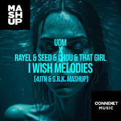 UDM x Rayel & Seed & Chou & That Girl - I Wish Melodies (4JTN & G.R.K. Mashup)