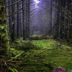 Buachaill Rían Dan X Kafeen - When The Rain Stops