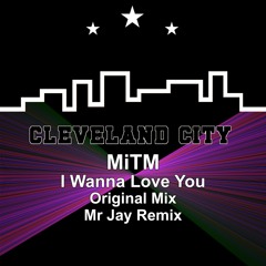 I Wanna Love You (Mr Jay Remix)