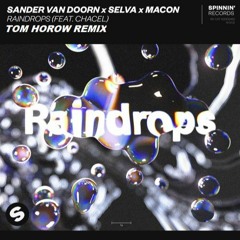 Snader Van Doorn X Selva X Macon - RainDrops (TOM HOROW REMIX)