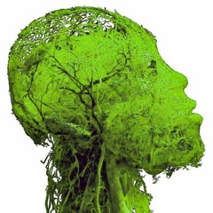 Mwene Money = Astronauta na terra