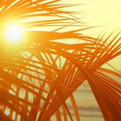Solen