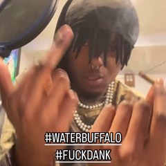 #waterbuffalo #fuckdank #B4WAS (prod.zzavius)
