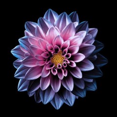 Eidorann ~ Divination