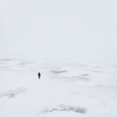 Polar