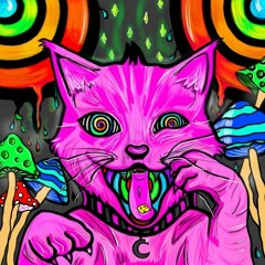 KEBRIN - ACID CAT Demo