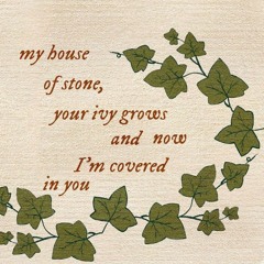 ivy