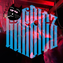 Disco Drongos @ Wein Bar - Garbicz Festival 2025