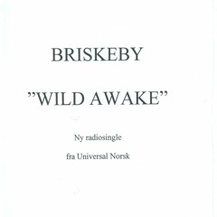 Briskeby - Wide Awake (Edit)