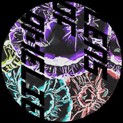 David Temessi - Lens Of Amelie (Original Mix)