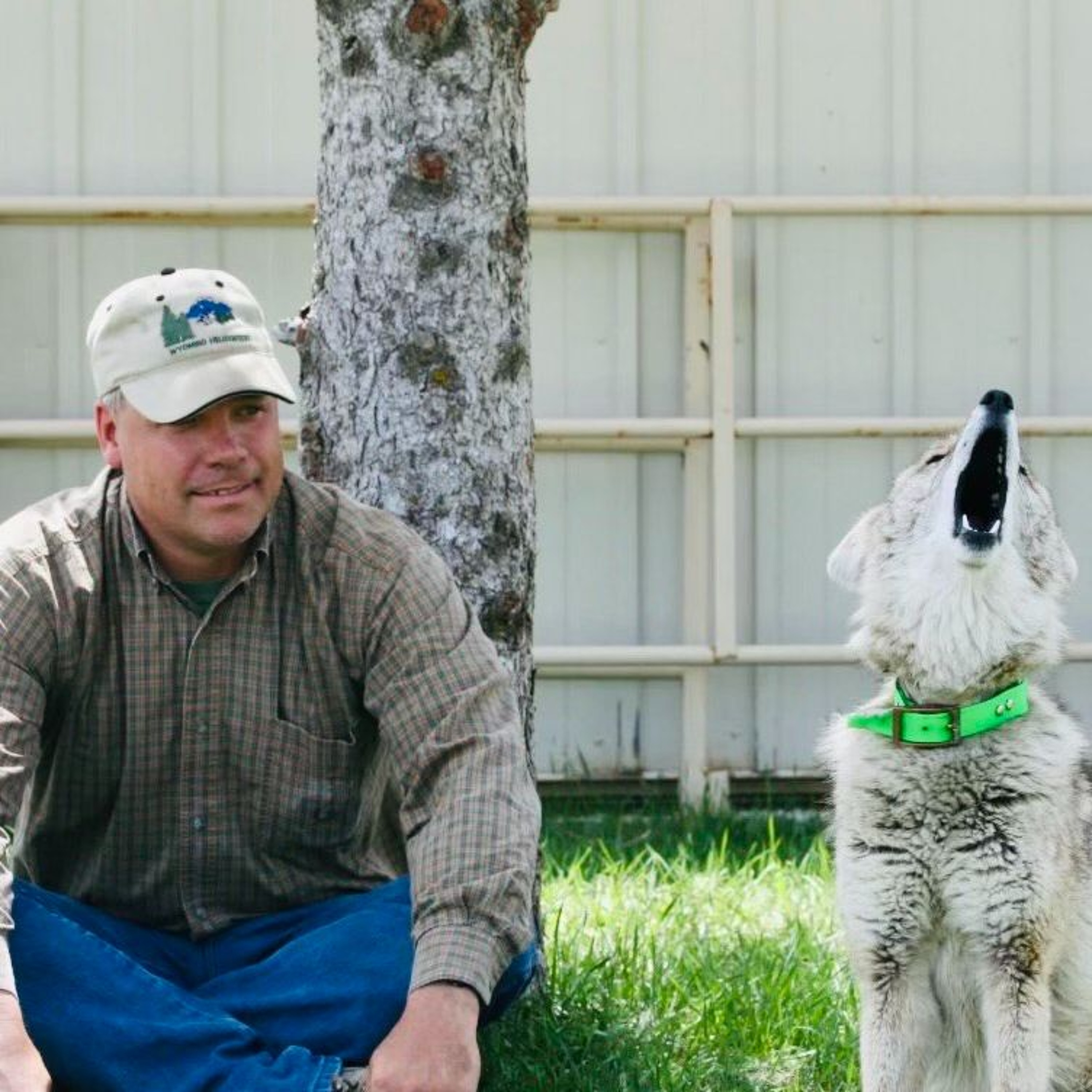 Eastmans Predator Pros