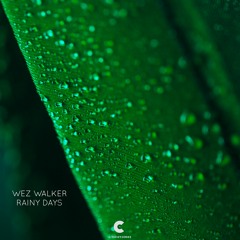Wez Walker - Calm
