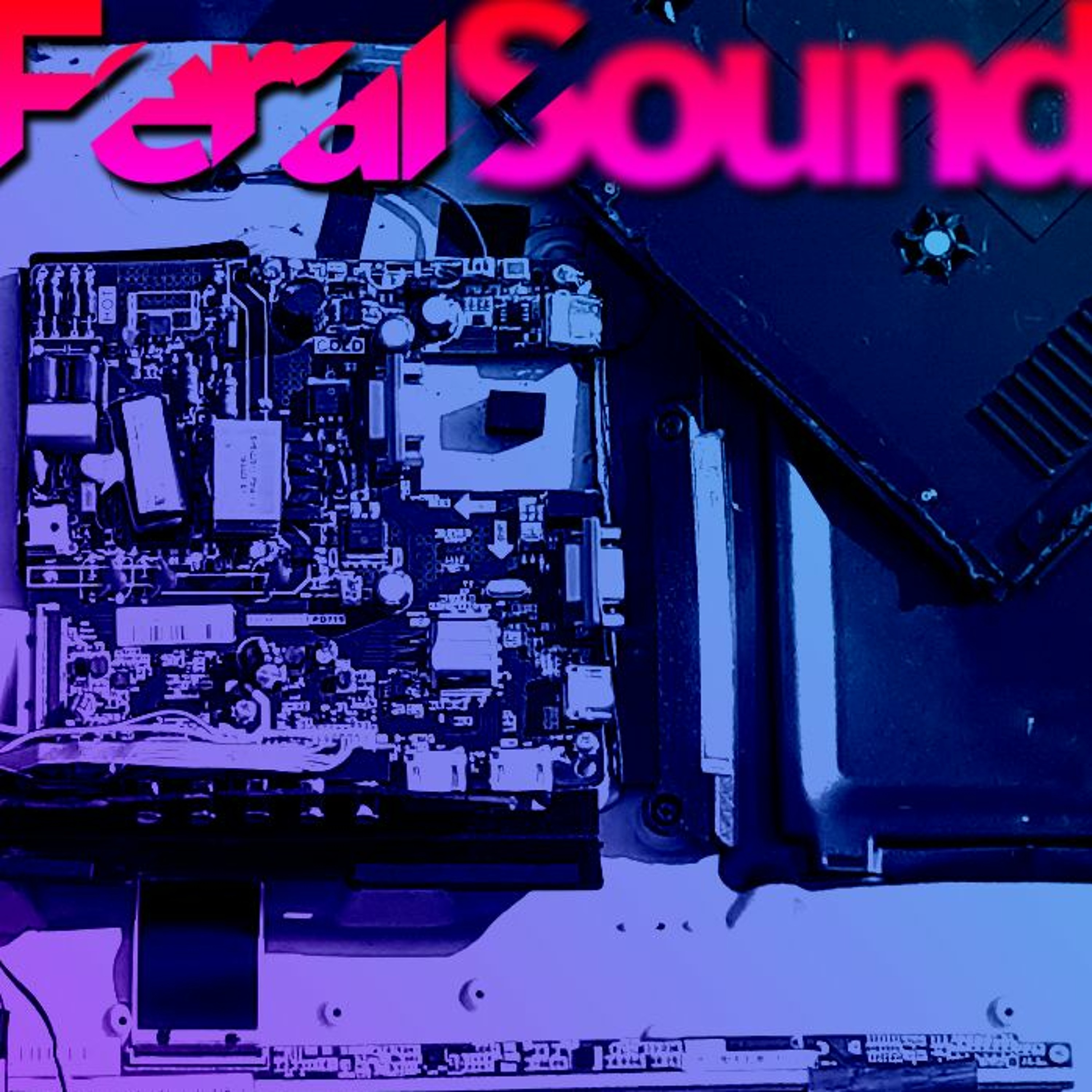 Feral Sound with Fox - 26 Aug 2023
