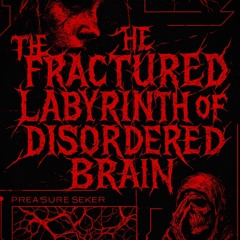 THE FRACTURED LABYRINTH OF MY DISORDERED BRAIN
