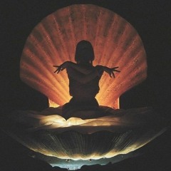 Minimalist Re-Born • Relaxing Vibes