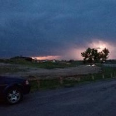 Hey, Is Tree There (1)