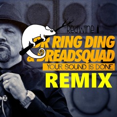 Dr. Ring Ding & Dreadsquad - Your Sound Is Done (Red'Wine Remix)