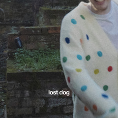 Lost Dog